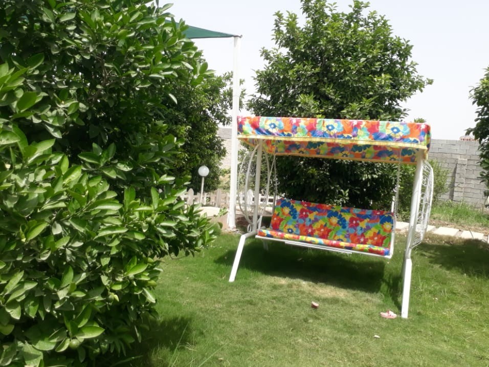 حیاط