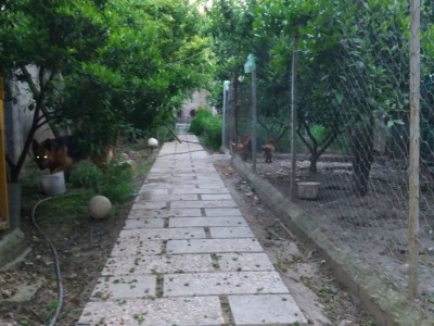 خانه حیاط دار "اِشکو"