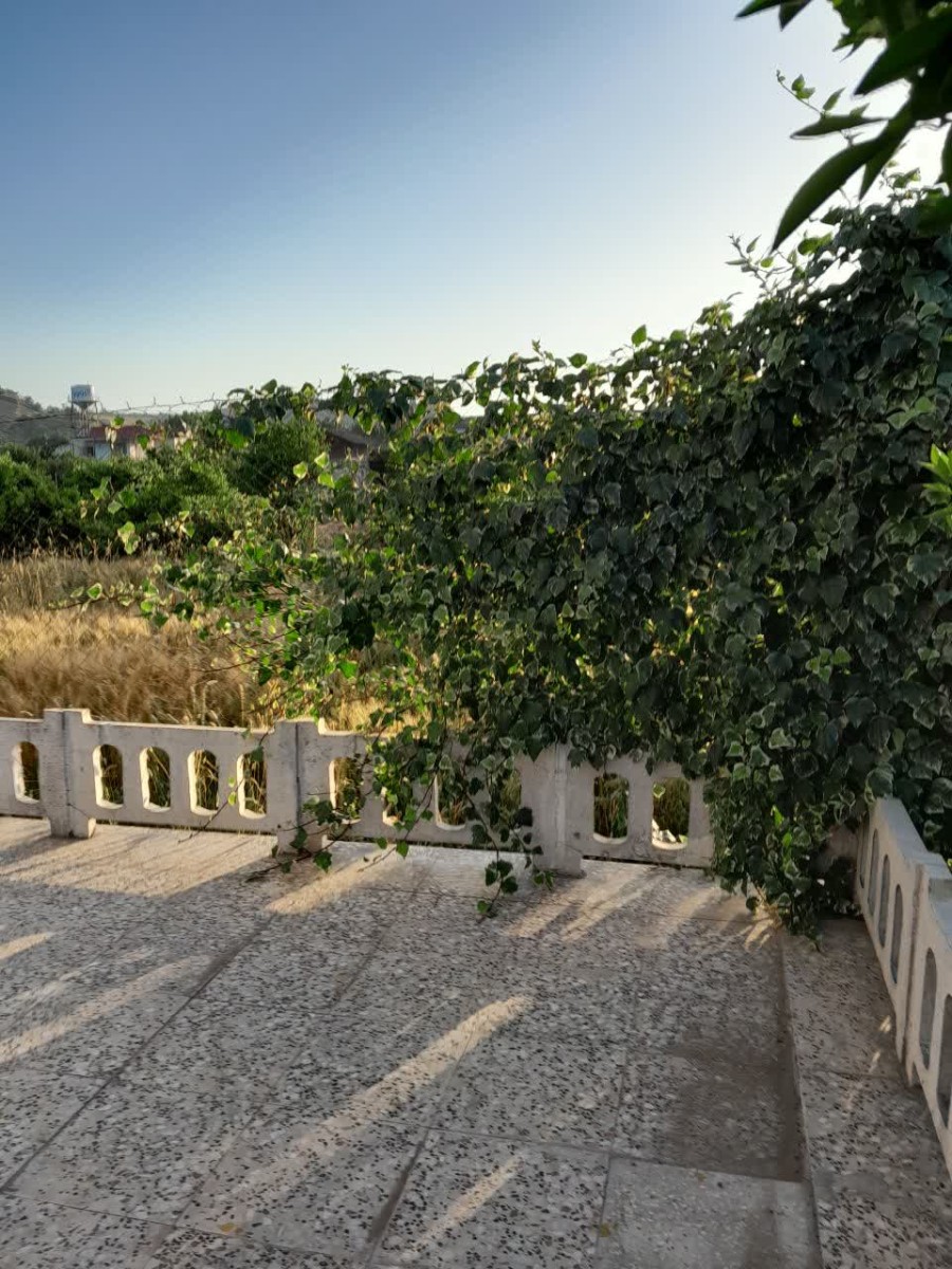 حیاط