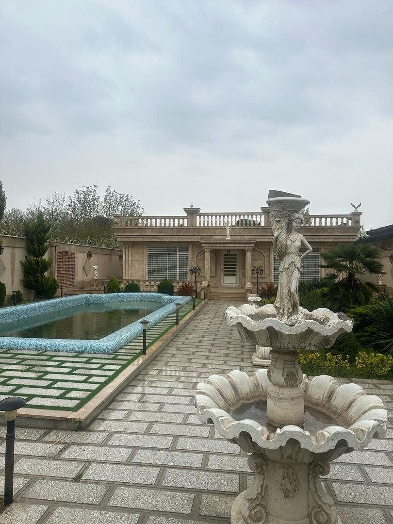 حیاط
