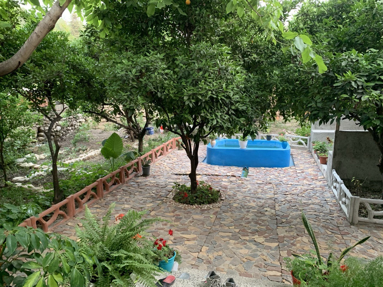 حیاط