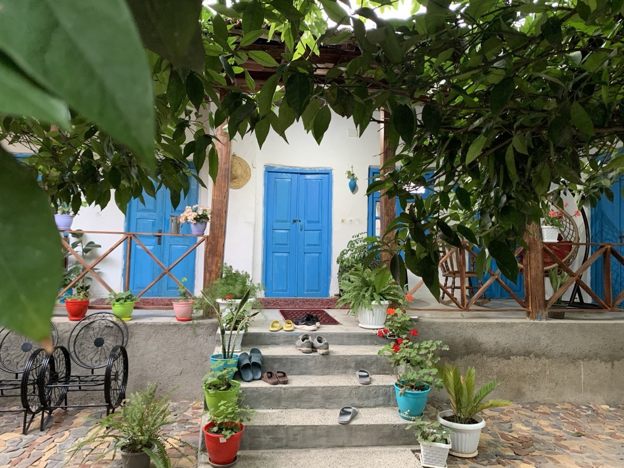 حیاط