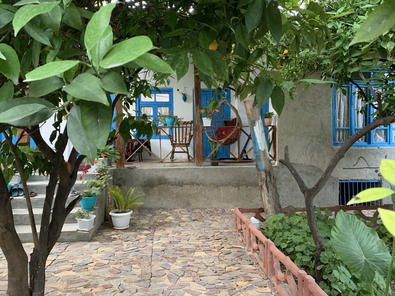 حیاط