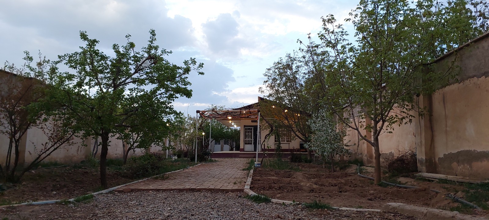 حیاط