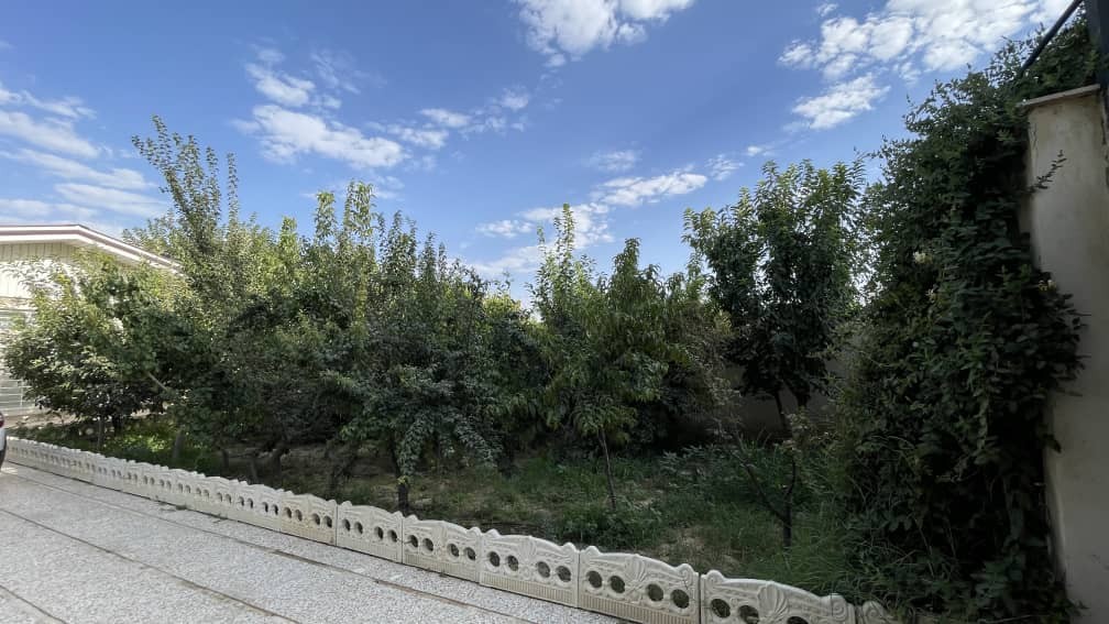 حیاط