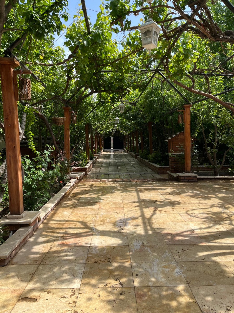 حیاط
