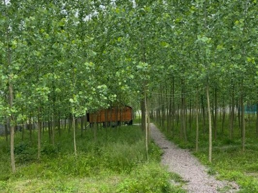 ورودی اقامتگاه