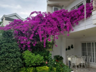 ویلای یک خوابه "بهار" در چالوس