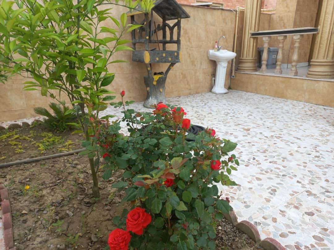 حیاط
