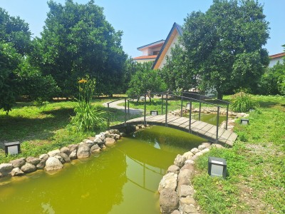 کلبه تک خواب جکوزی دار "علیپور" در سی سرا