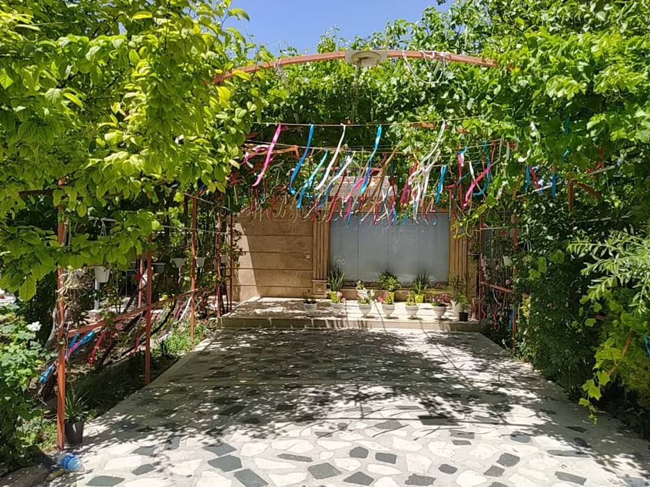 حیاط