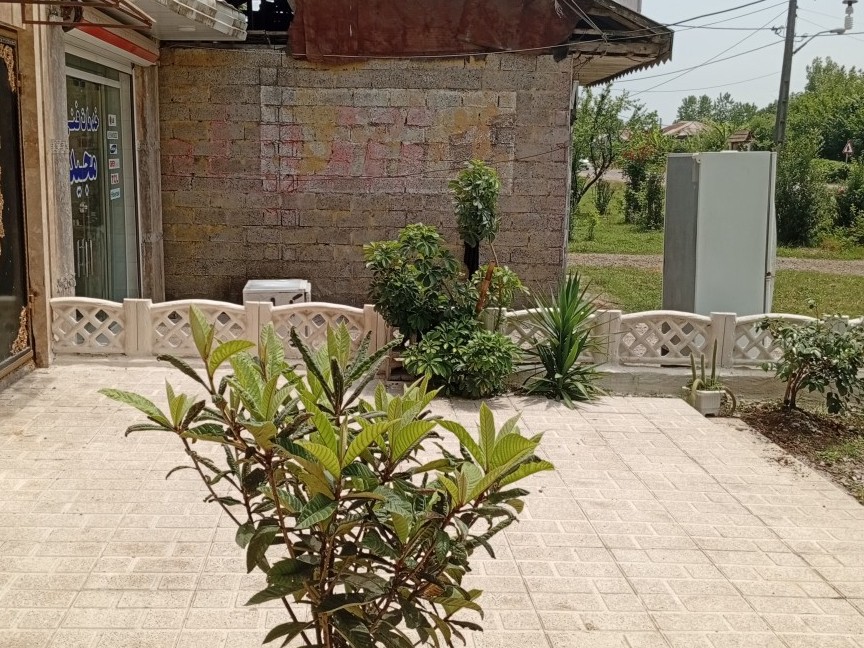 حیاط