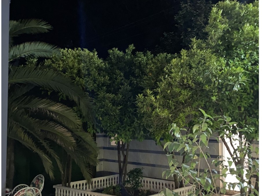 حیاط