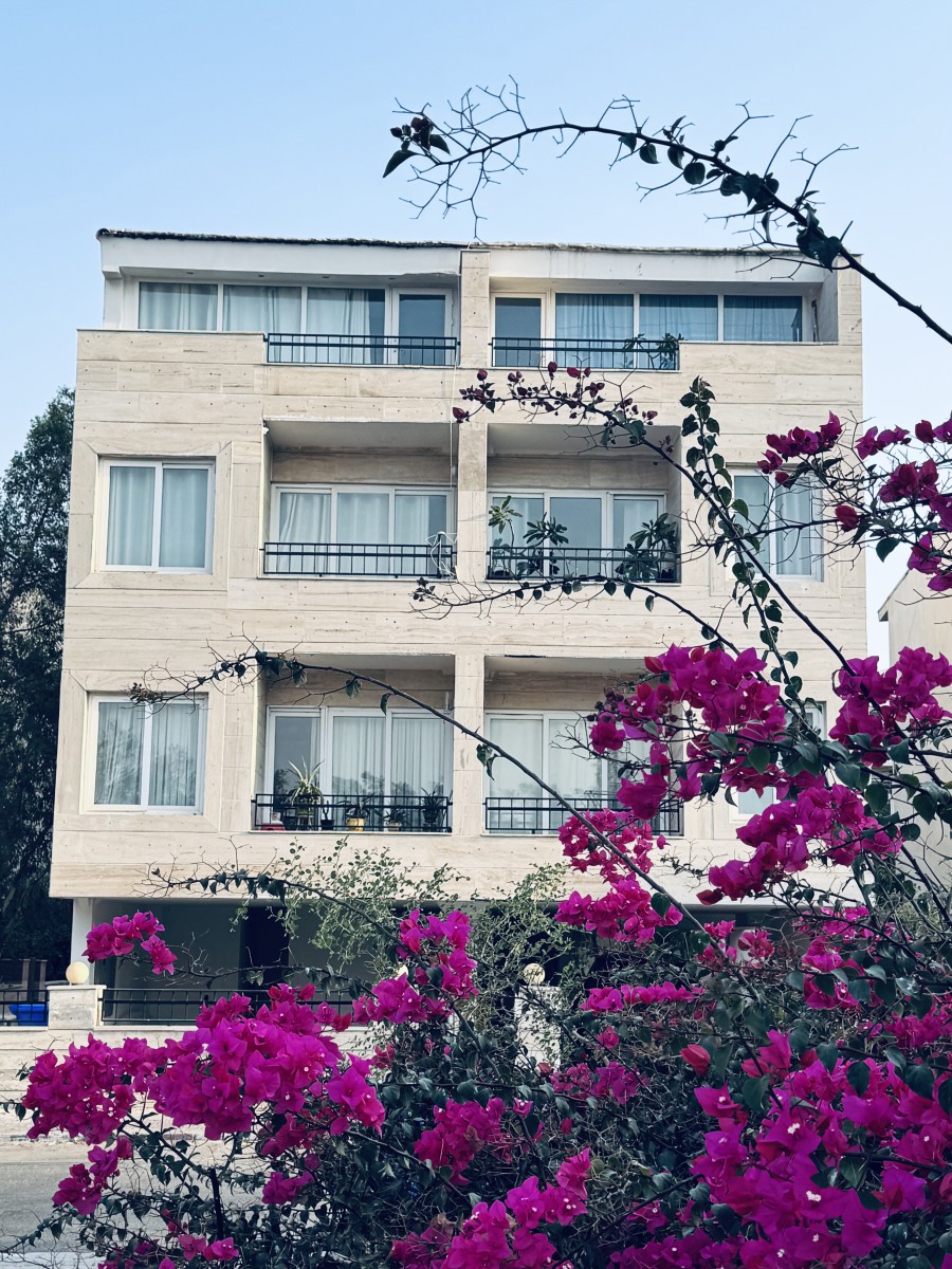 نمای ساختمان
