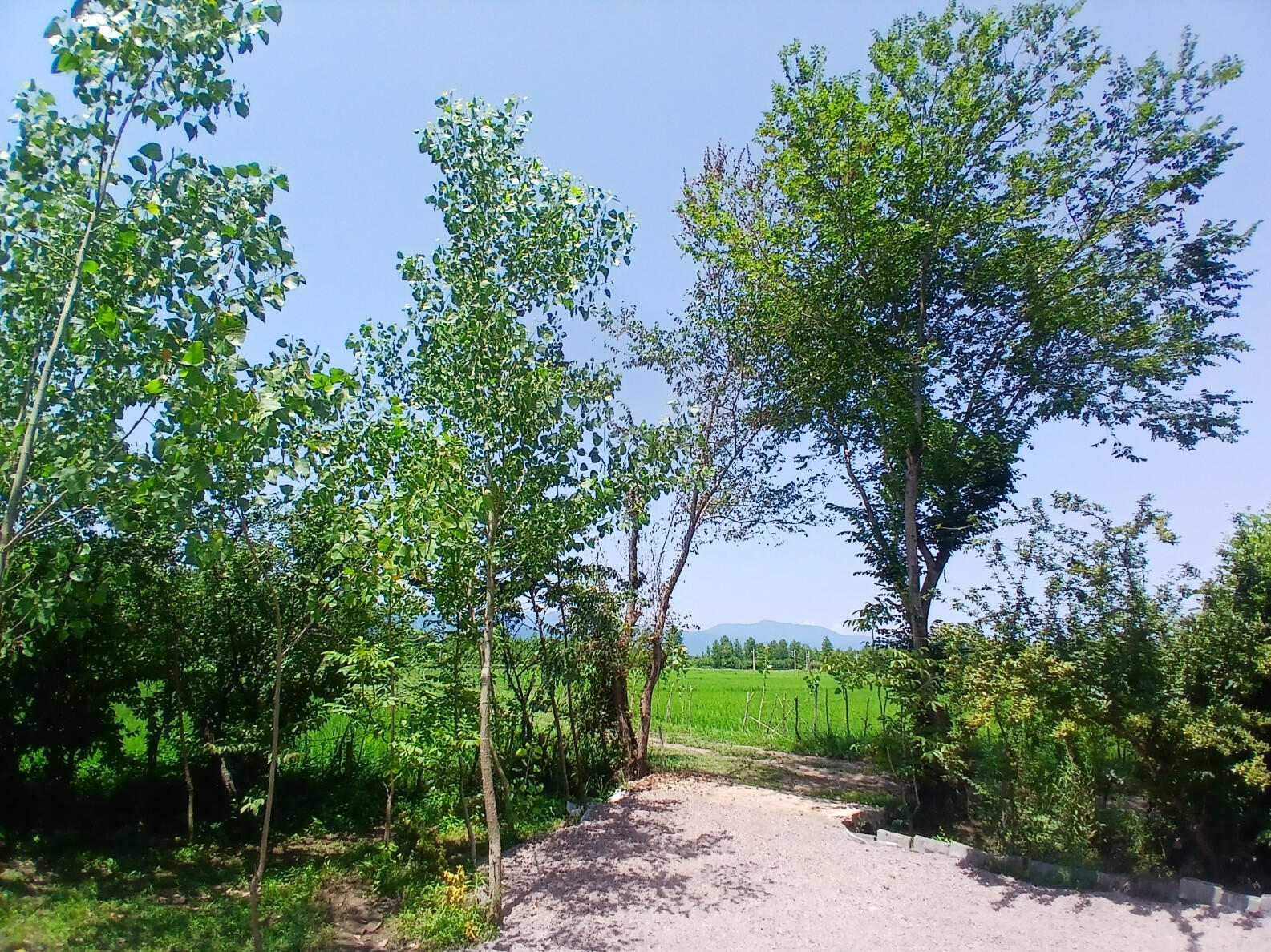 ورودی اقامتگاه ورودی اقامتگاه