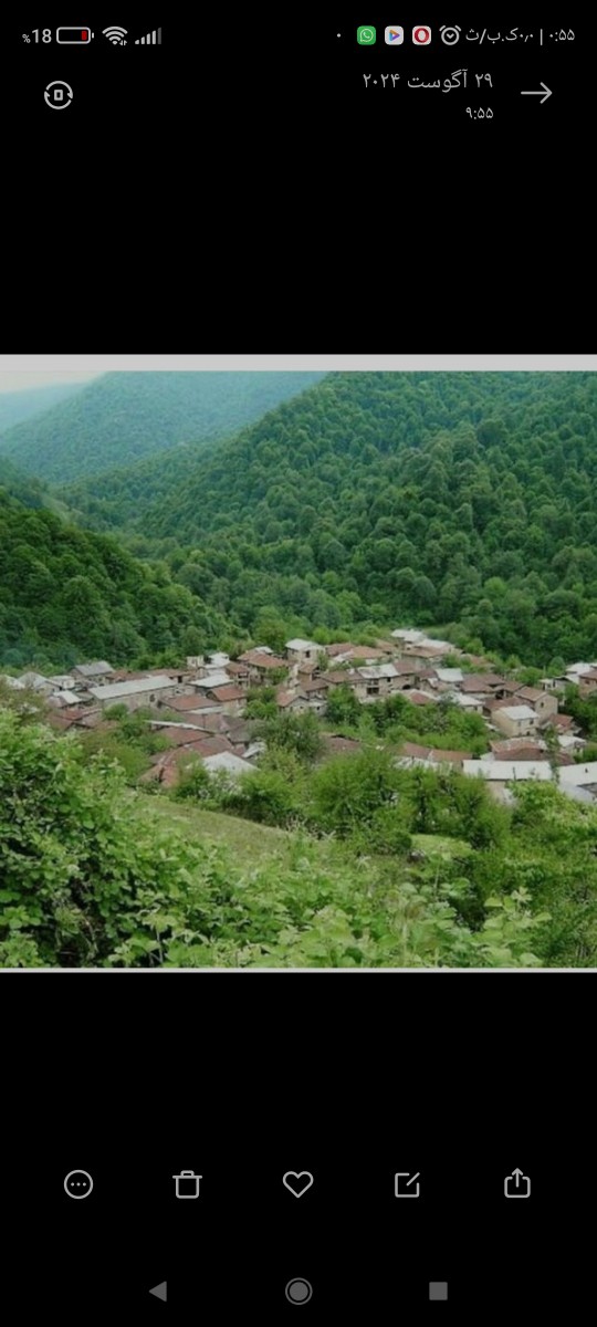 ویوی روستا