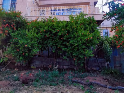 ویلای حیاط دار دوخوابه "هایا"
