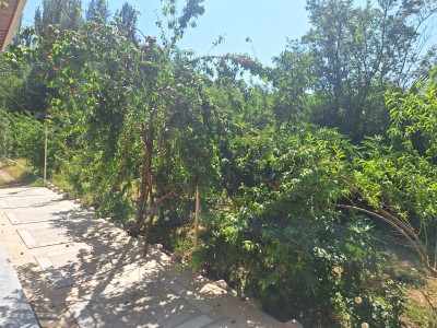 ویلای دو خوابه در نظام آباد