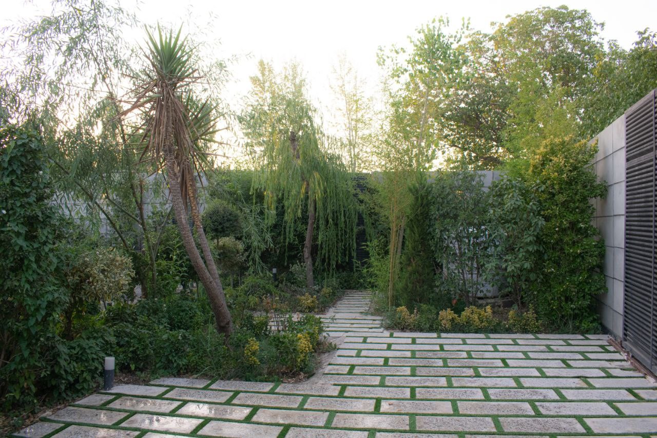 حیاط