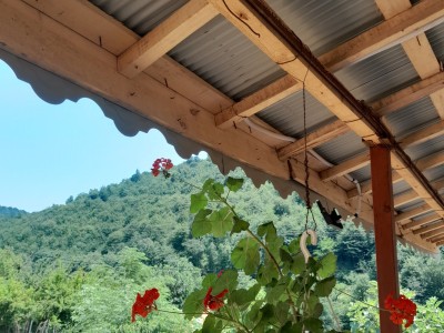 ویلای یک خوابه "گیلان زمین"