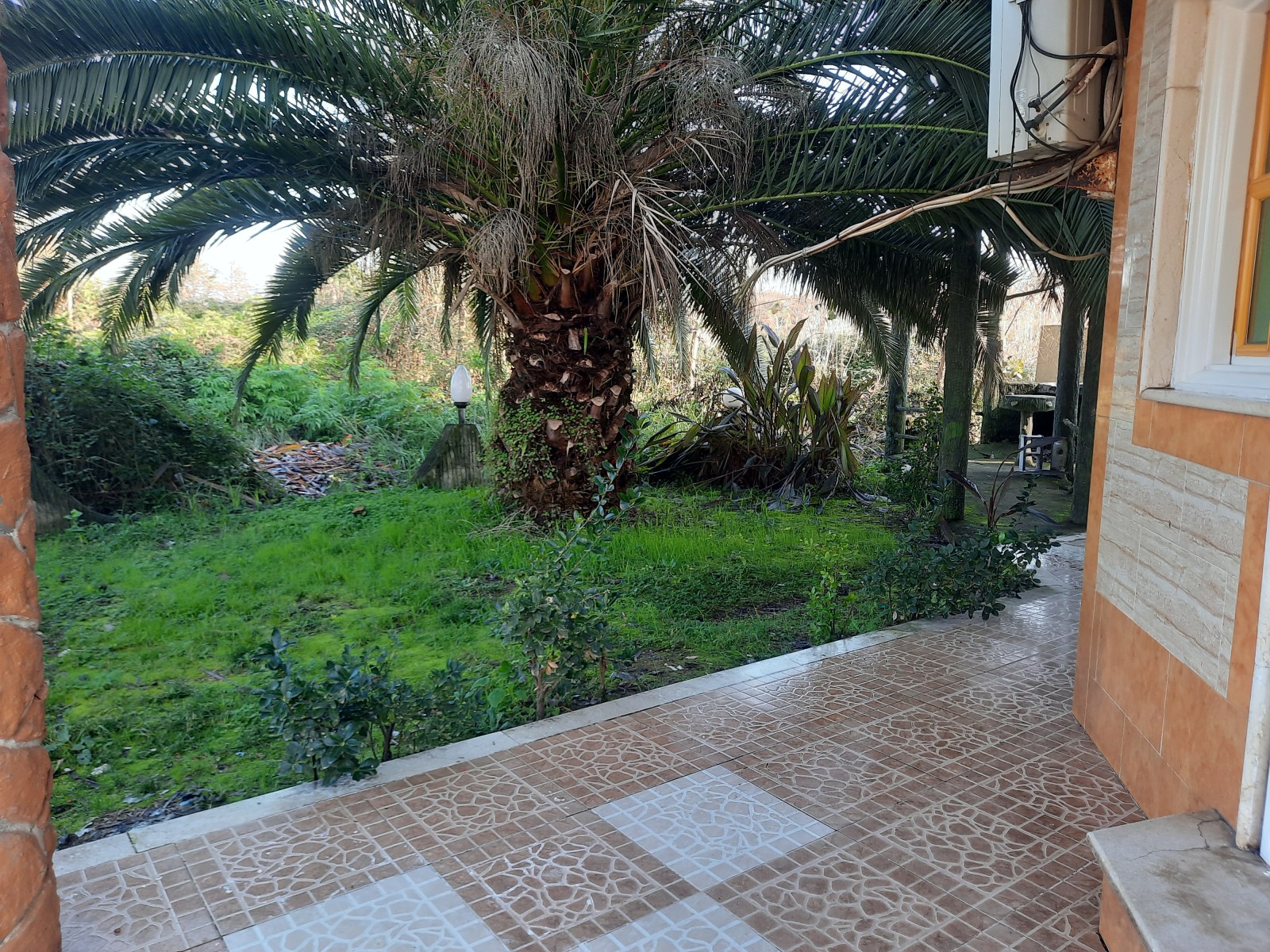 محوطه
