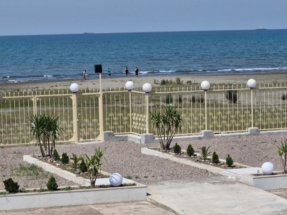 حیاط