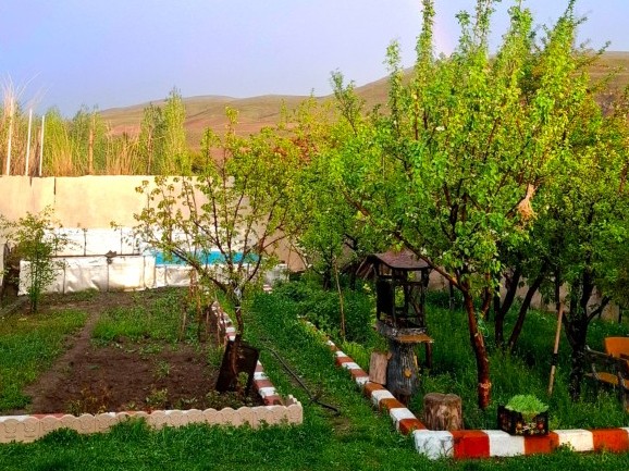 حیاط