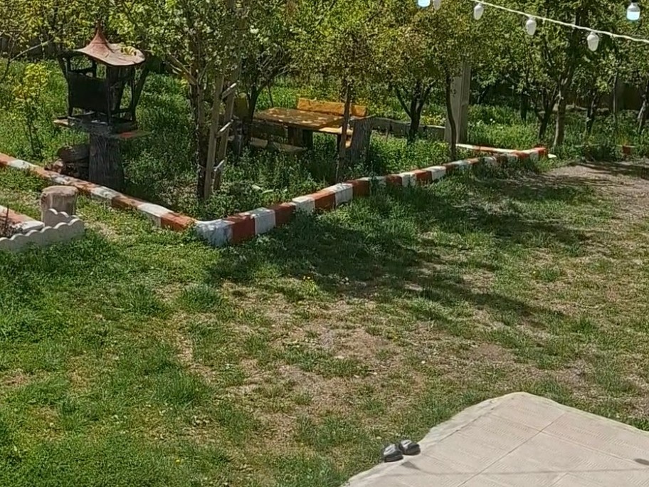 حیاط