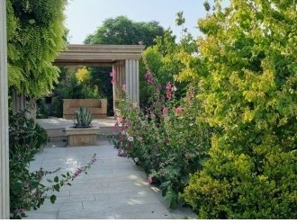 حیاط حیاط