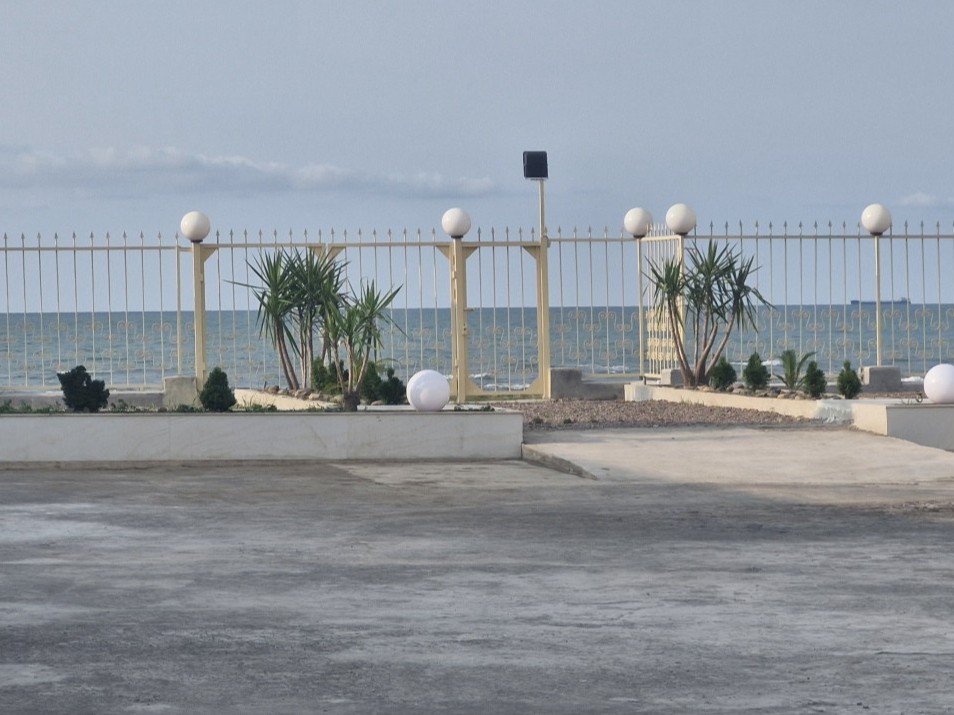 حیاط