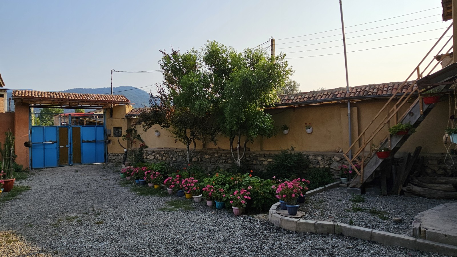 حیاط