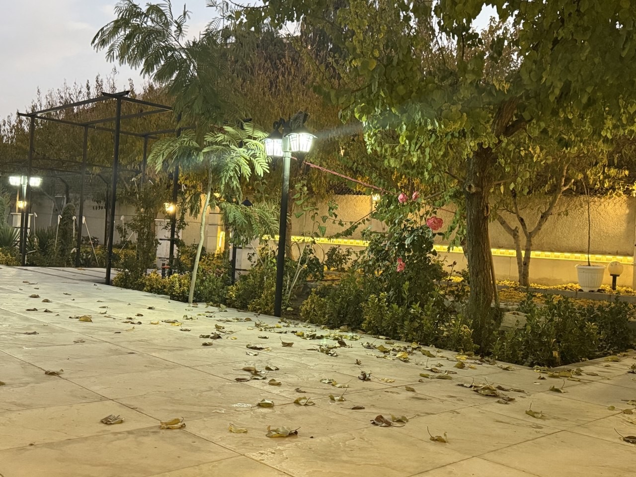 حیاط