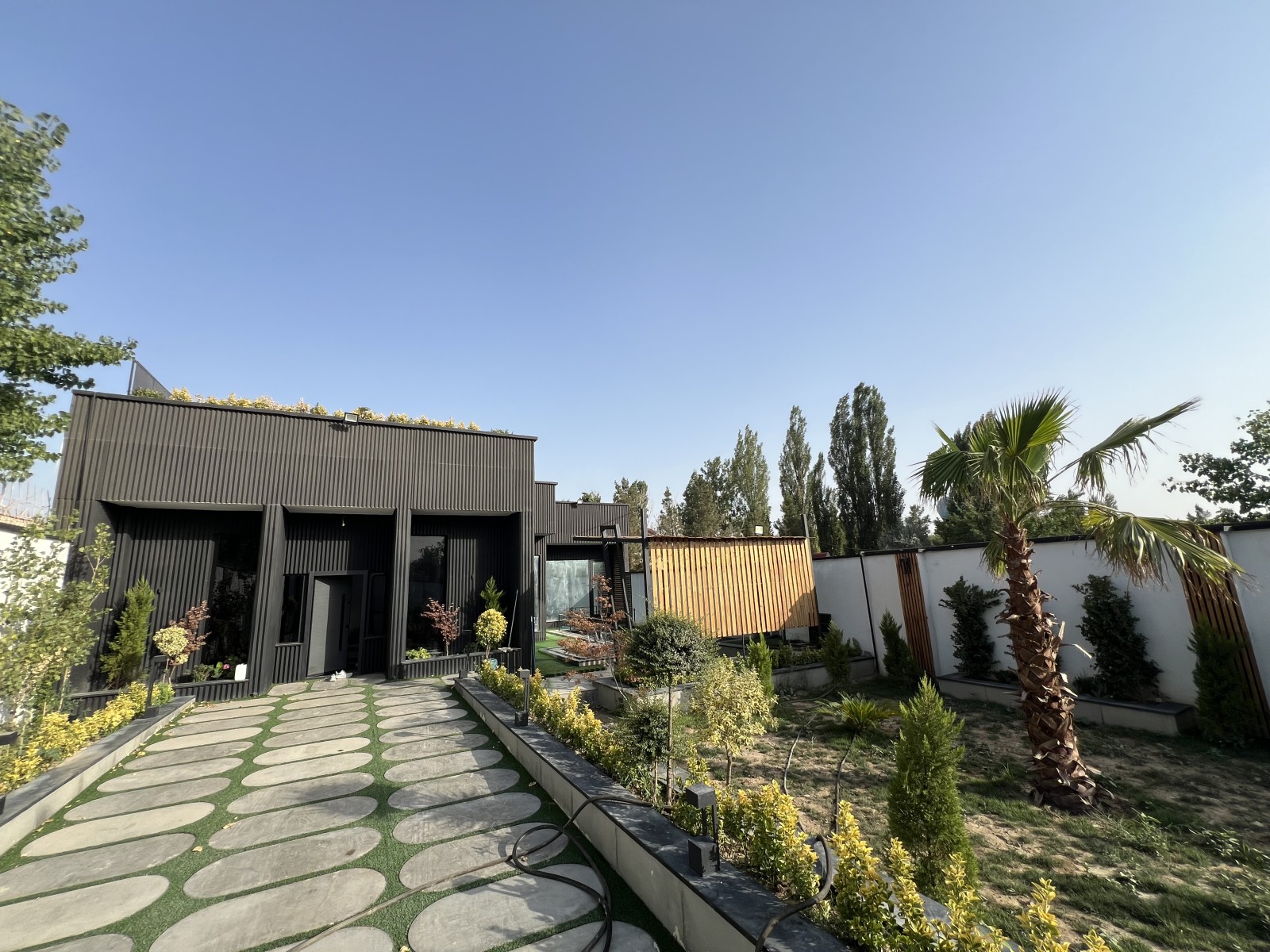 حیاط