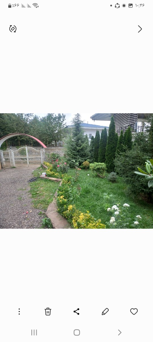 حیاط حیاط