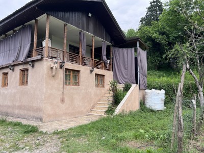 کلبه جنگلی در روستای میش بیجار
