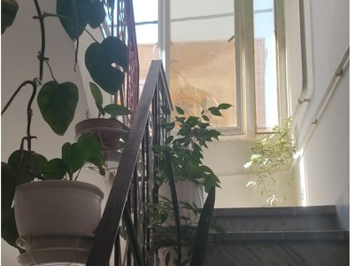 واحد یک خوابه تمیز در ایلام