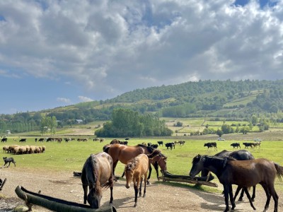 اقامتگاه بومگردی مهربانو "واحد ایران بانو و زر بانو" اقامتگاه بومگردی مهربانو "واحد ایران بانو و زر بانو"