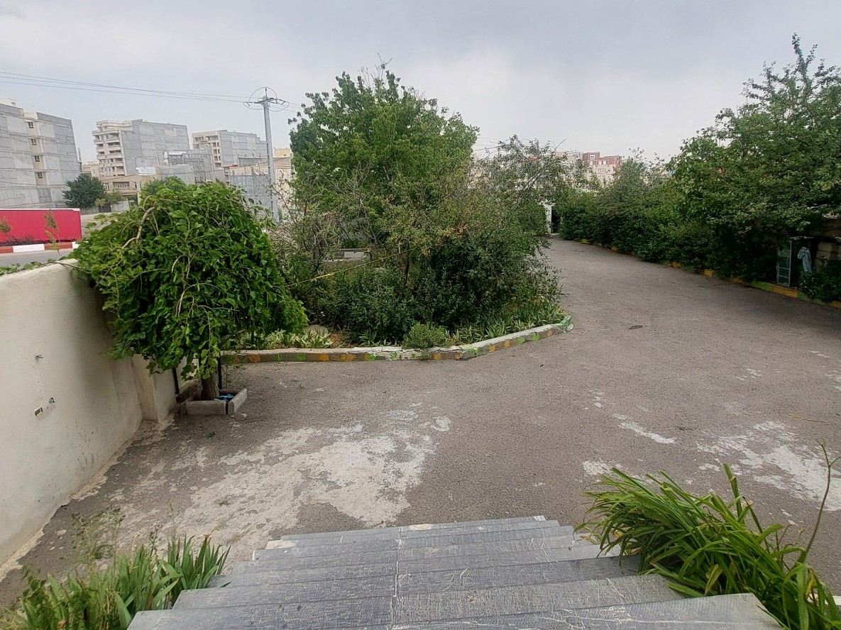 حیاط