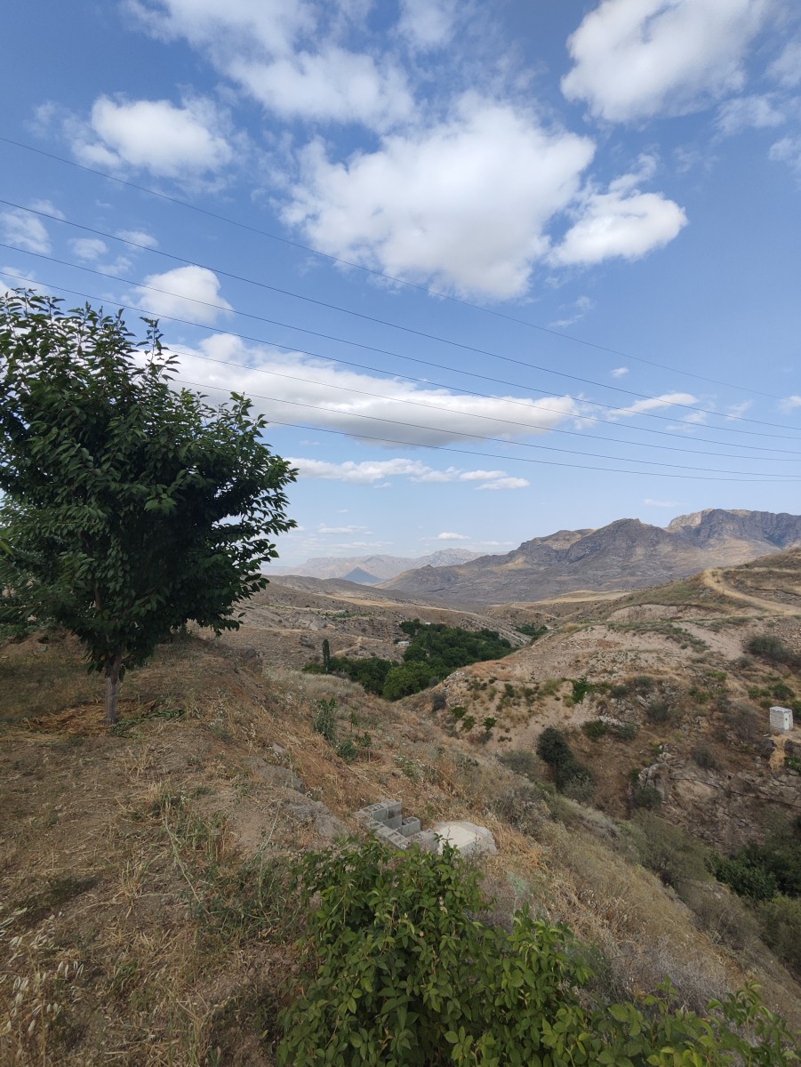 منظره اطراف باغ