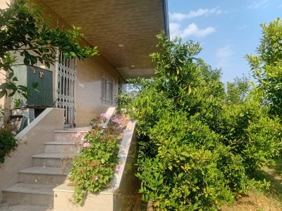 ویلای سرسبز در روستای بالا مرزناک بابل