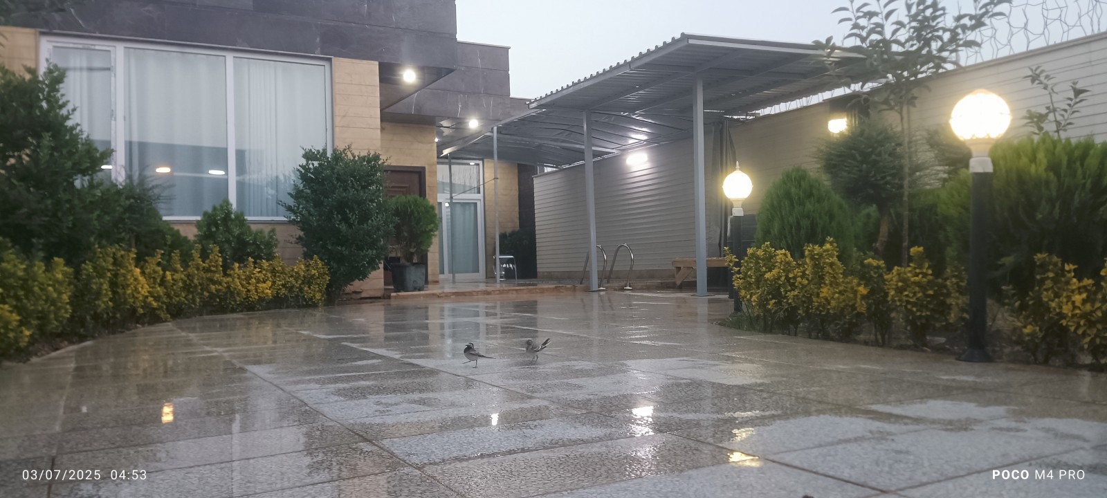 حیاط و آلاچیق