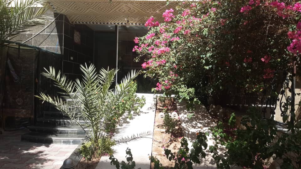 حیاط