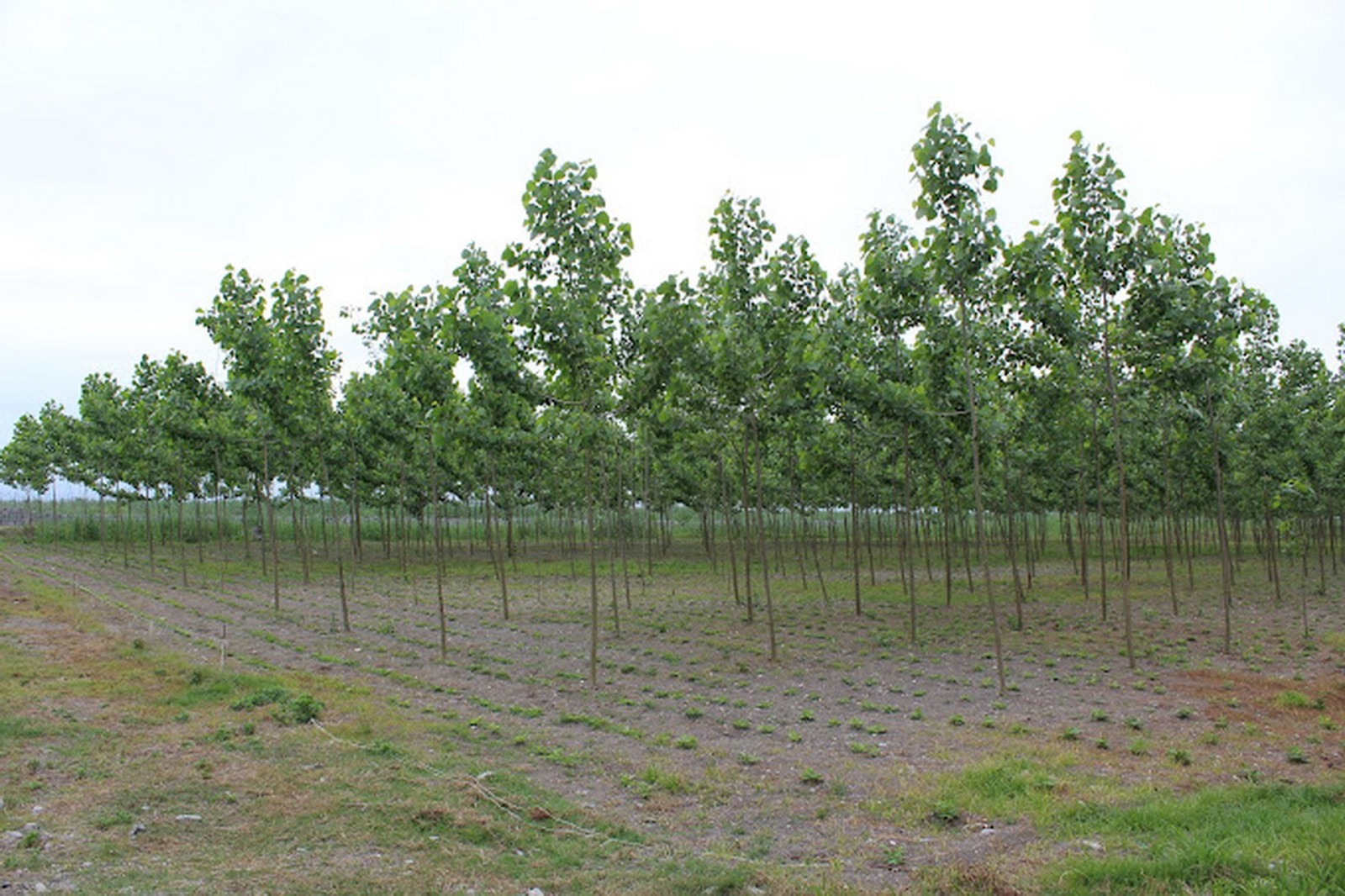 فضای خارجی اقامتگاه فضای خارجی اقامتگاه