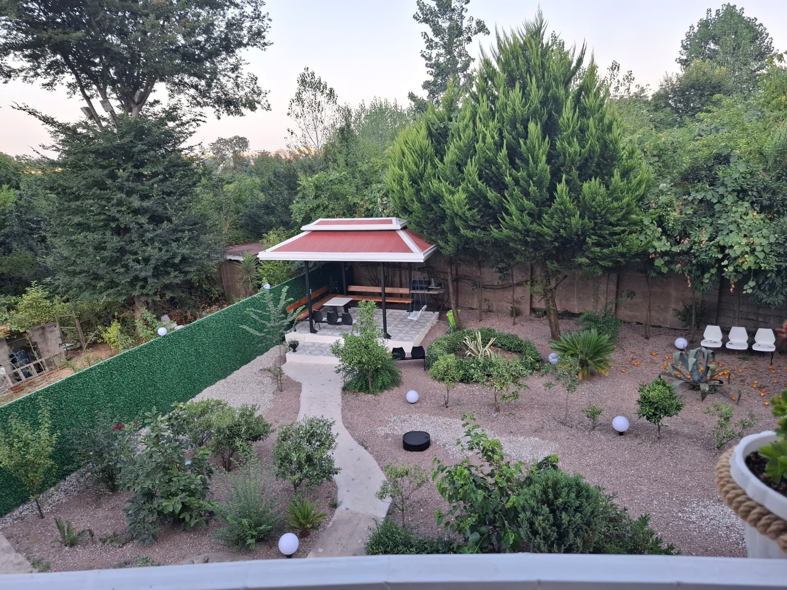حیاط