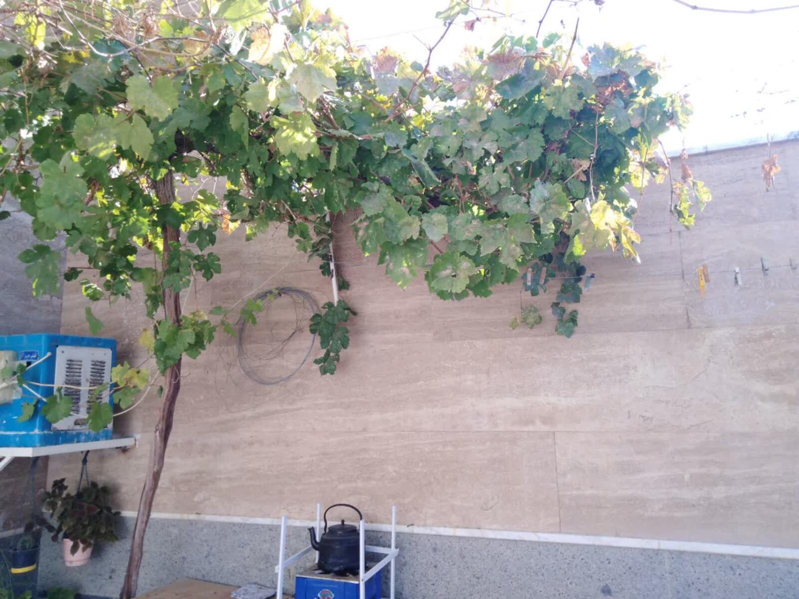 آشپزخانه آشپزخانه