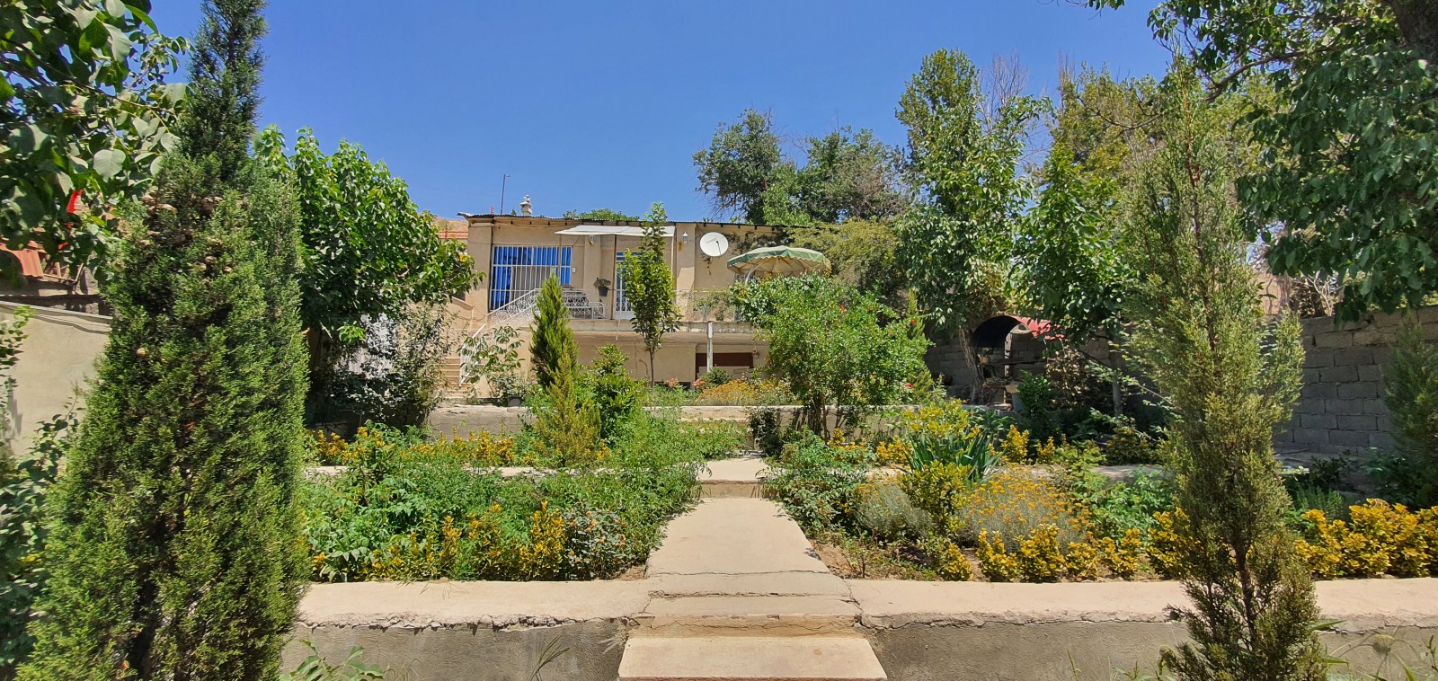 حیاط