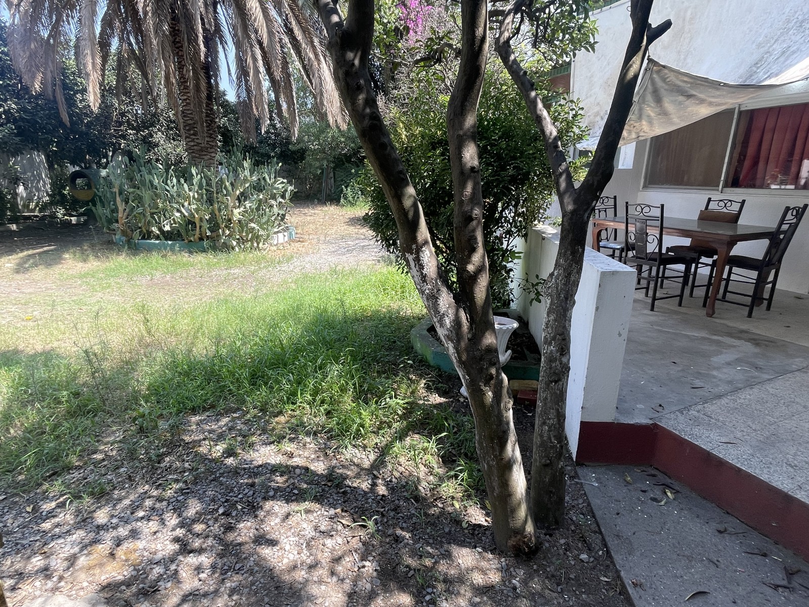 محوطه