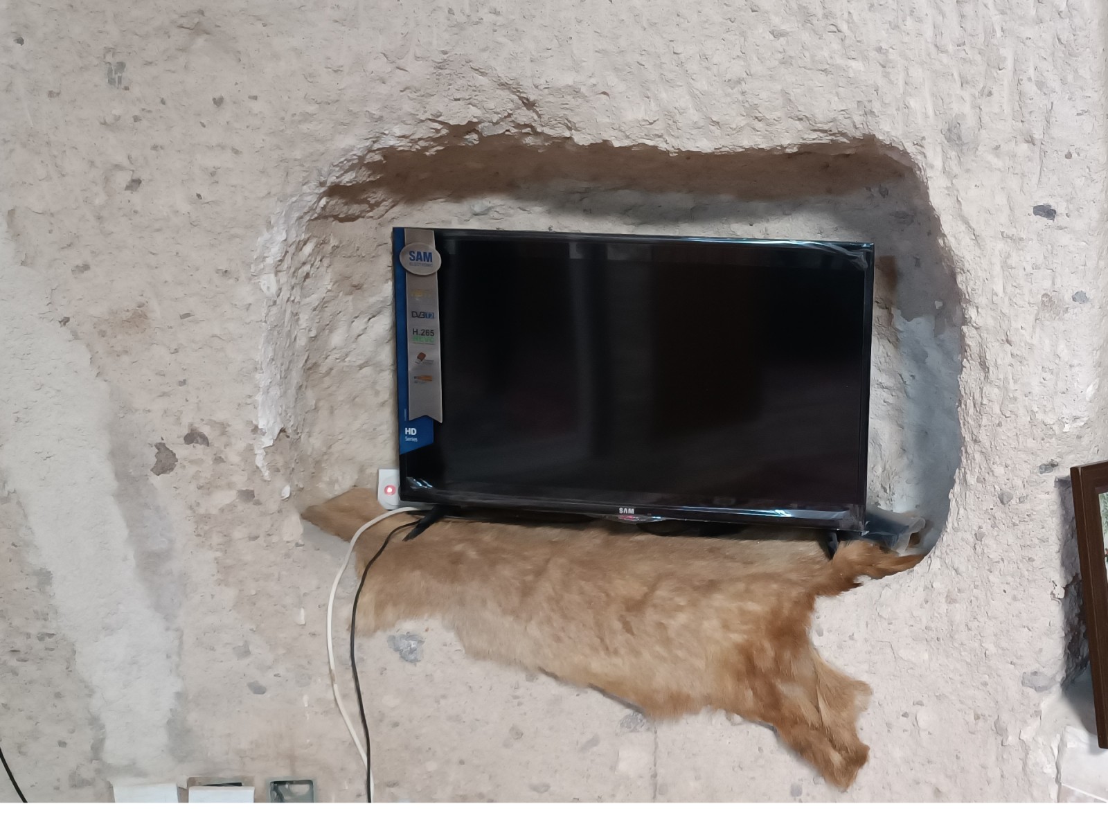 تلوزیون تلوزیون