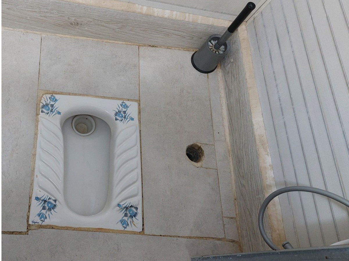 سرویس بهداشتی