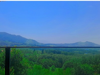 ویلای دیلم جنگل